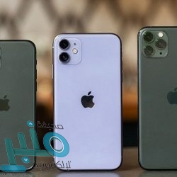 تجديد تكلف المتحمي بصحة القنفذة