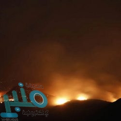 الذهب يهبط من ذروة أسبوع في ظل ضغوط ارتفاع الدولار