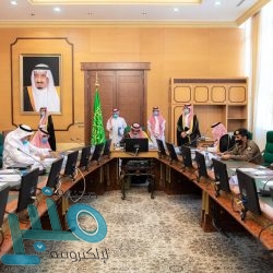 أمير الباحة يكرّم الجهات المشاركة والداعمة لمهرجان الرمان