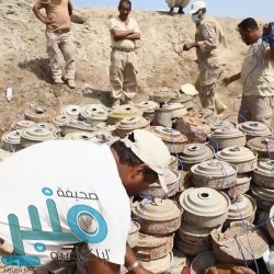 التقاعد: 21 ألف معاملة منجزة إلكترونياً و9 آلاف مسجل جديد في الخدمات الإلكترونية