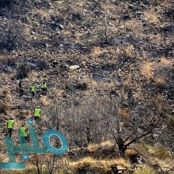 «النمر» يوضح مدى فعالية الغبار في القضاء على الفيروسات