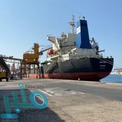 تعيين “محمد الحارثي” رئيسًا تنفيذياً لهيئة الإذاعة والتلفزيون