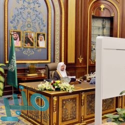 وكيل إمارة الباحة يفتتح مهرجان التمور الثالث بالعقيق ويشيد بما رَآه