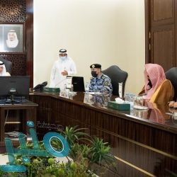 سوسة النخيل الحمراء .. كيفية الوقاية وطرق العلاج