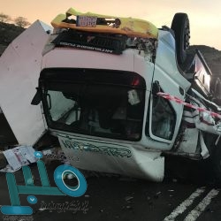 “البيئة” ترقِّم أكثر من 1.4 مليون متن إبل