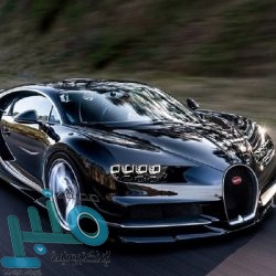 شاهد.. تعليق داير ومورينيو على واقعة “دورة المياه” في مباراة توتنهام وتشيلسي