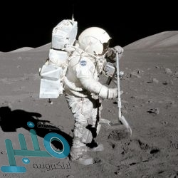 كلوب ينجح في إقناع فينالدوم بالبقاء مع ليفربول