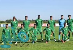 القبض على سيدة تمارس العلاج بـ”الطاقة والصوت” والمساندة النفسية في المدينة