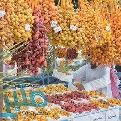 القبض على 11 شخصاً تورطوا بالسطو على مستودعات وسرقة الكيابل الكهربائية بمكة