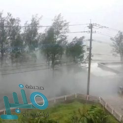 “التعاون الإسلامي” تناقش تعزيز التعاون مع الخارجية الأمريكية في مجال تمكين المرأة