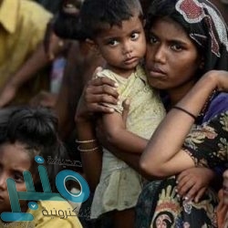 مصادرة 130 كيلوجرامًا من الأسماك الفاسدة في بحر أبو سكينة