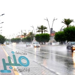 “الحبوب” تبدأ بصرف مستحقات الدفعة العاشرة لمزارعي القمح المحلي لهذا الموسم