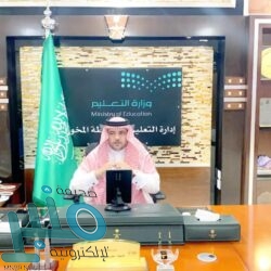 الإعلان عن تدشين أُول منظومة للزوارق الاعتراضية السريعة (HSI32) المصنعة محلياً