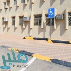 الصحة توضح علاقة خلطة الثوم والزنجبيل بتطعيم الأنفلونزا الموسمية