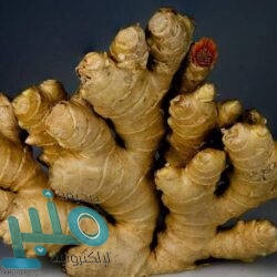 تقارير: برشلونة يسعى لضم بول بوغبا بالمجان