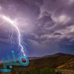 تعرف على تفاصيل لائحة ضريبة التصرفات العقارية