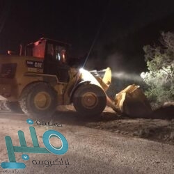 “آبل” تعمل على تطوير محرك البحث الخاص بها