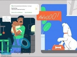 5 أسباب تؤدي لتراكم الدهون على الكبد.. و7 طرق للعلاج