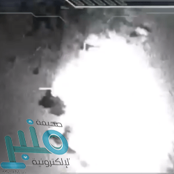 رئيس ديوان المظالم يلتقي المراجعين عن بعد