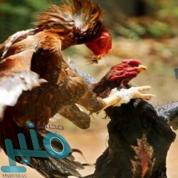 «أمير الباحة» يؤكد على أهمية تحديث الإجراءات المتخذة لمواجهة بعض المخاطر في المنطقة