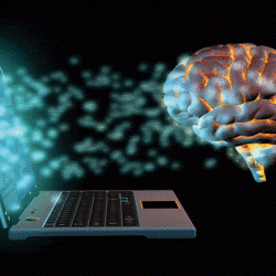 خادم الحرمين الشريفين يتلقى رسالة خطية من سمو أمير دولة الكويت