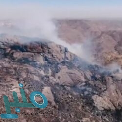 الذهب يستقر مع معادلة آمال التحفيز الأمريكي للدولار