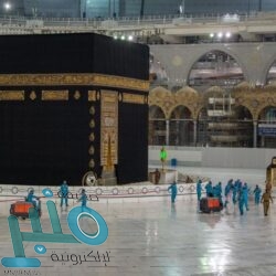 برئاسة خادم الحرمين.. مجلس الوزراء يعقد جلسته عبر الاتصال المرئي ويصدر عددًا من القرارات