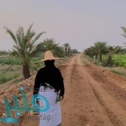 تعليم الطائف يشارك في مشروع تحدي القراءة العربي