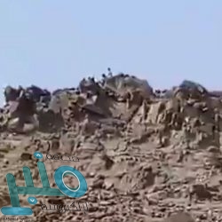 القيادة تطمئن على صحة الرئيس الأمريكي بعد إصابته بفيروس كورونا