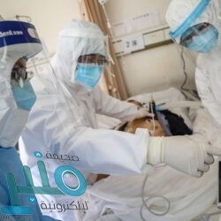 بدء التسجيل في مهرجان الصقور غداً .. والدمام أولى المحطات