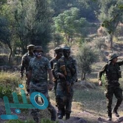 الذهب بصدد تكبد خسارة أسبوعية بفعل صعود الدولار