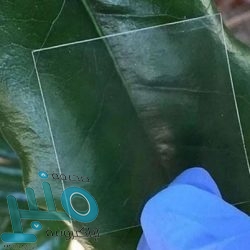 البنك الإسلامي للتنمية يوفر وظائف شاغرة في عدة مجالات