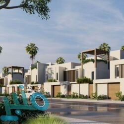 زراعة السلم والسيال والطلح في جبال الهدا