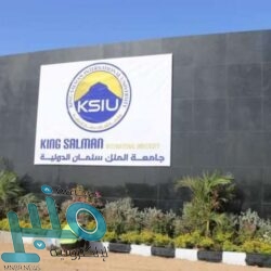 “المرور” يوضح شروط نقل اللوحات بين مركبتين لمالك واحد