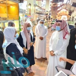 “الحبوب” تبدأ بصرف مستحقات الدفعة التاسعة لمزارعي القمح المحلي لهذا الموسم