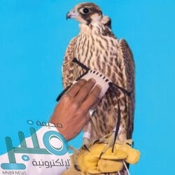 حتى الـ 8 مساءً .. تنبه بهطول أمطار رعدية على محافظات أضم والطائف وميسان والعرضيات