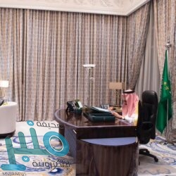 ولي العهد يُجري اتصالًا هاتفيًا بالرئيس الروسي