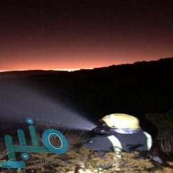 أمانة الطائف تشرع في زراعة مليون شتلة زهور