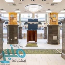 شاهد.. لحظة إنقاذ ناقة تعرضت للصعق لتلامسها بأسلاك الضغط العالي