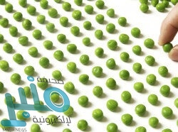 تشيلسي يرد على تقارير اندلاع أزمة بين كانتي ولامبارد بسبب حفل زفاف