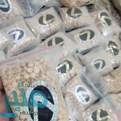 تعرف على تفاصيل لائحة ضريبة التصرفات العقارية