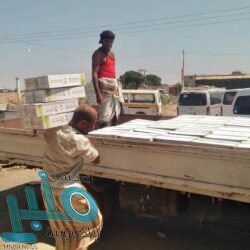 التحالف: اعتراض وتدمير طائرة حوثية مفخخة استهدفت المملكة