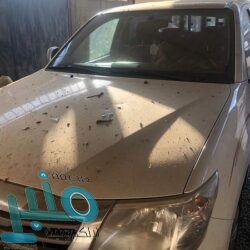 التعليم تعلن آلية الاختبارات النهائية للفصل الدراسي الأول