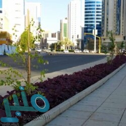 “تراحم الباحة” تنظم ملتقى “صحتي النفسية مسؤوليتي”