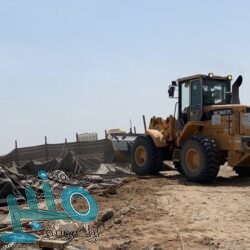 “السعودية للكهرباء”: إعادة تدوير 6 ملايين لتر من زيوت المحولات في 5 سنوات