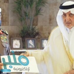 طرح فرص استثمارية في مشروع “تخييم” على مساحة مليون م2 في بريمان