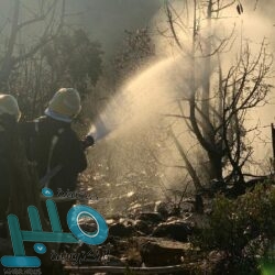 تذبذب أسعار النفط وسط ارتداد مؤشر الدولار