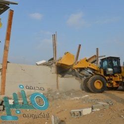 محافظ تنومة يدشن المبادرة الأولى في المحافظة لاستزراع شجر الزيتون