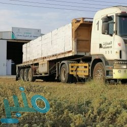 شرطة مكة تلقي القبض على شخص ارتكب عددًا من القضايا الجنائية