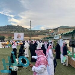 شرطة القصيم تلقي القبض على مقيمَين يمارسان أساليب احتيال على العمالة